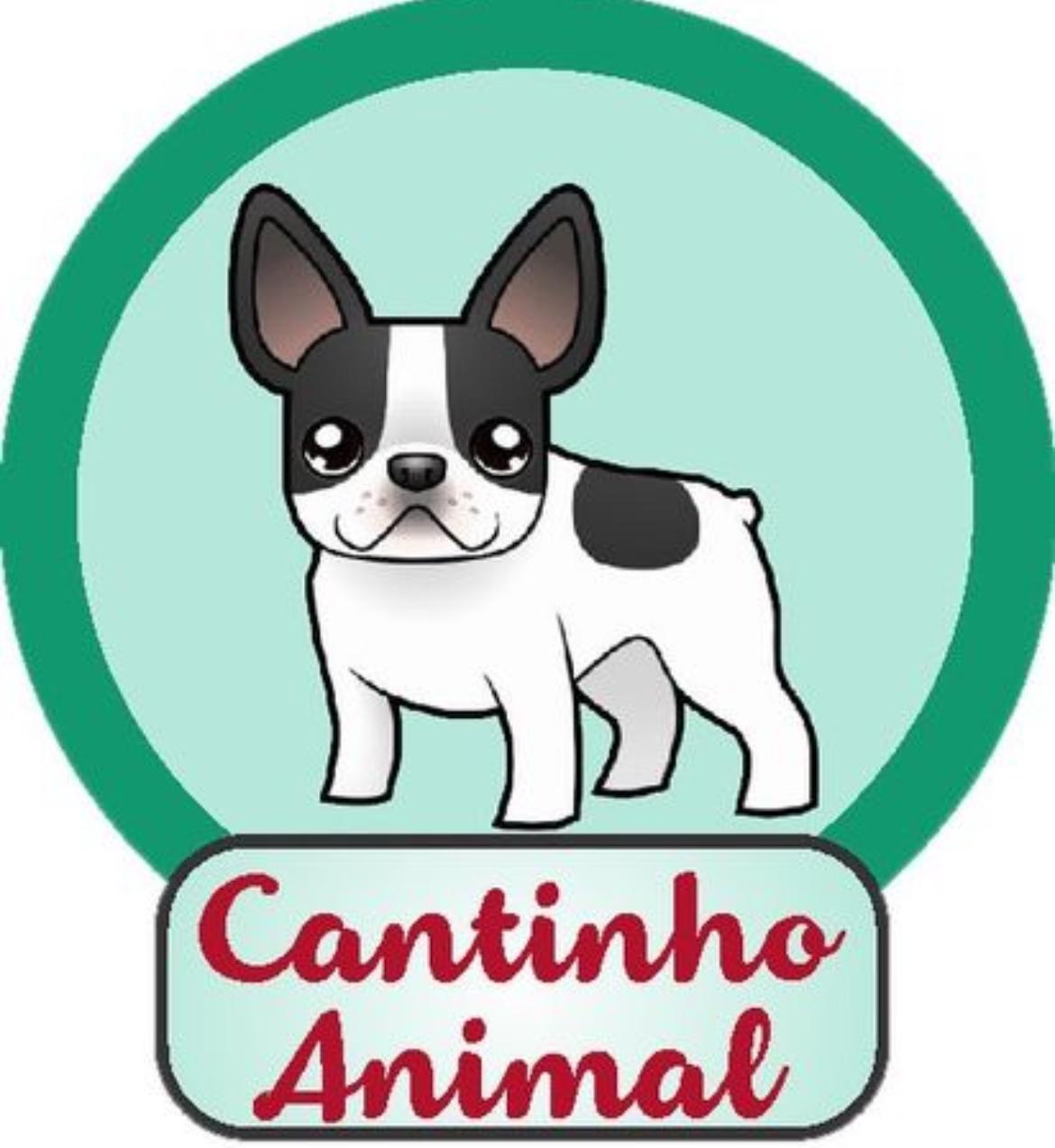 Brand Name : Brand Short Description Type Here.